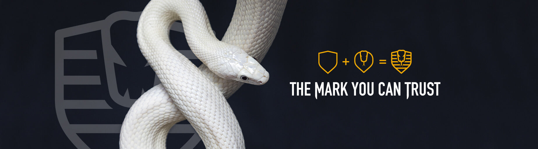 Snake Professional Snake Professional