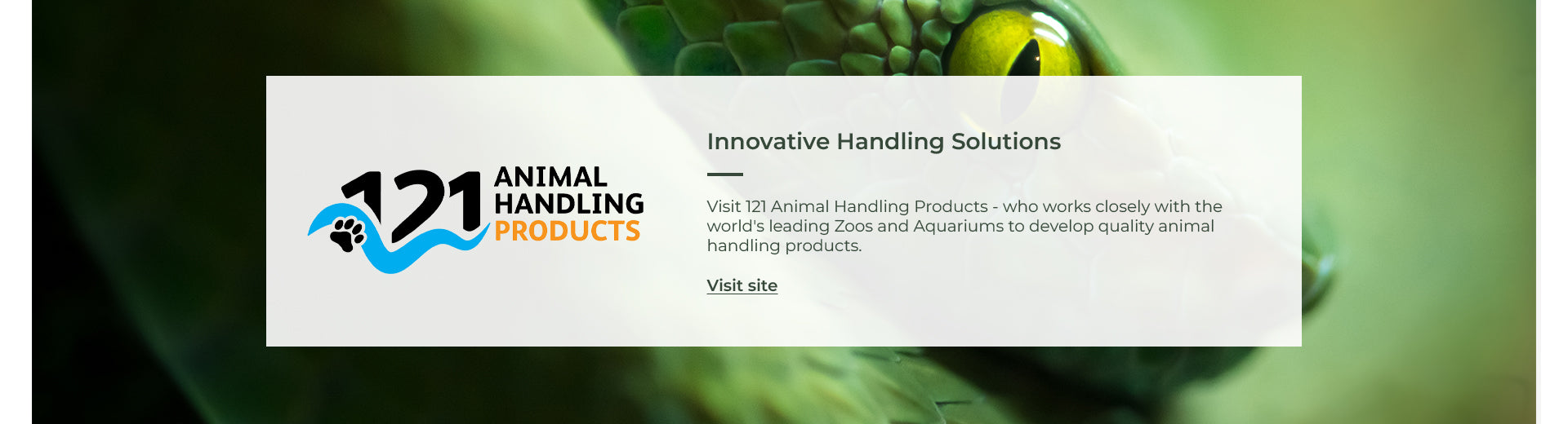 Snake Professional Snake Professional